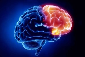 Dr. Eddy Monge - Neurología Neurologos en Guatemala Guia Medica
