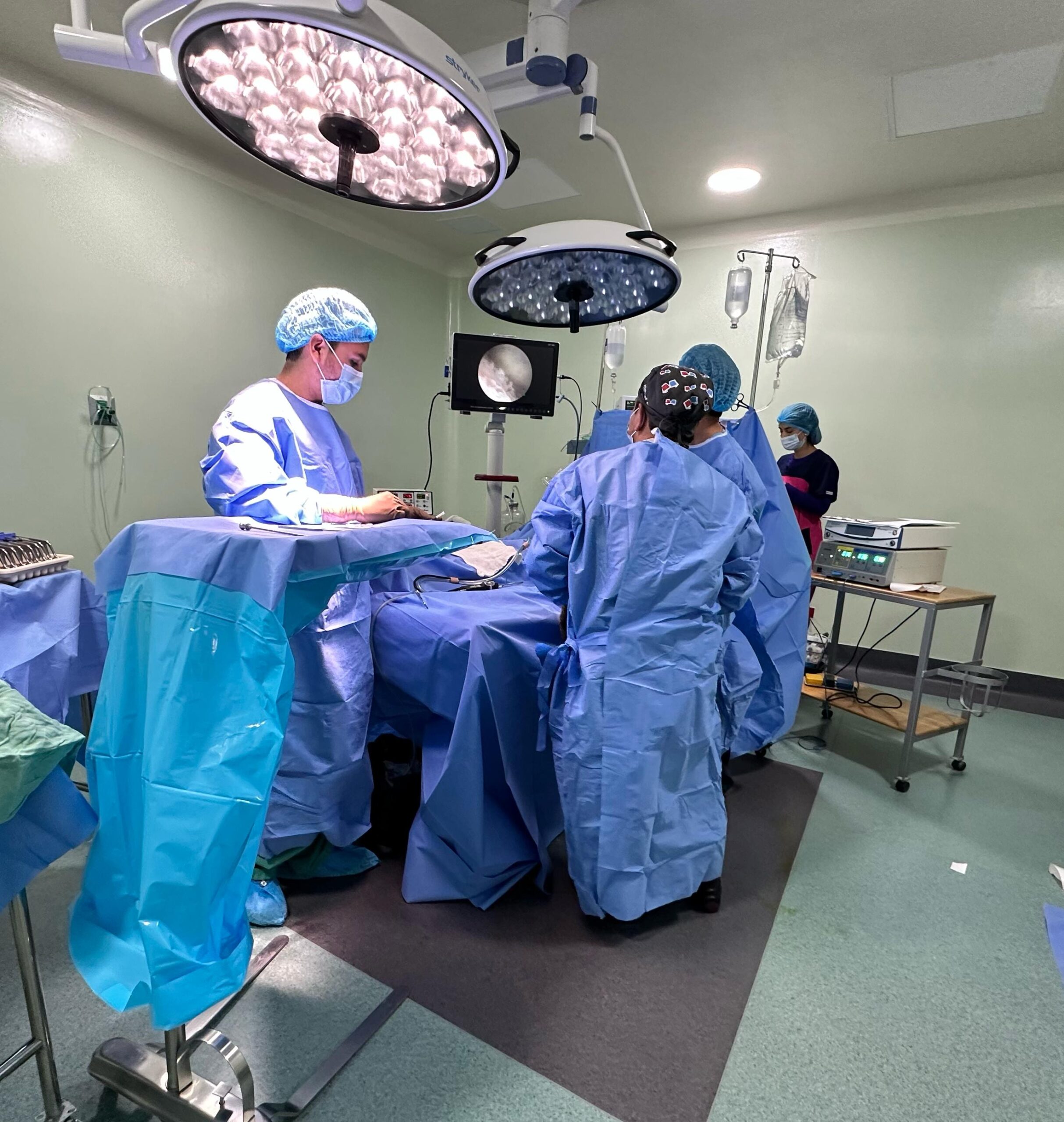 c5622e13-77f3-417e-b104-4663b9ff4bd0