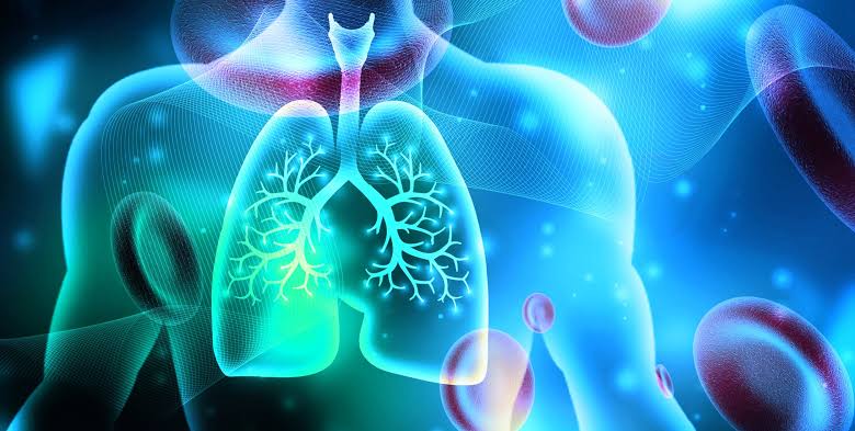 José F. Peralta Pimentel - Neumólogo pediatra Neumólogos en Guatemala Guia Medica
